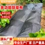 农用打孔果园除草草布