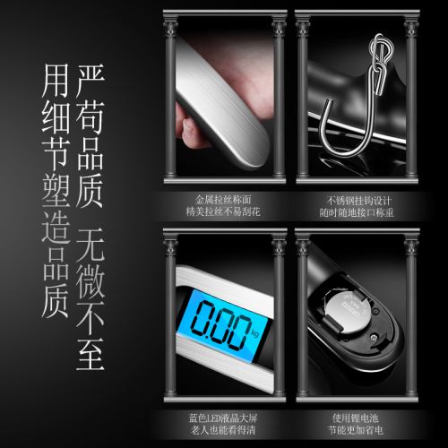 German portable electronic scale luggage weighing vegetable hook weighing mini electronic scale grams household commercial small portable scale