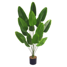 �羳����Gֲ�����B�㽶�~120CM�Ž��~���˽��ҾӔ[�O���Ԉ@�־G