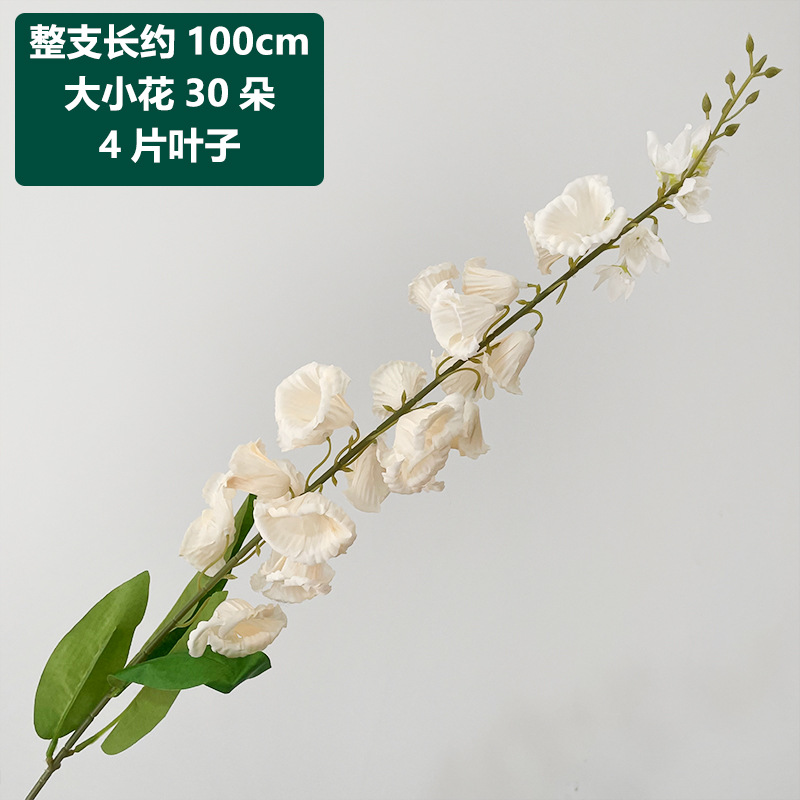 Champagne lily of the valley