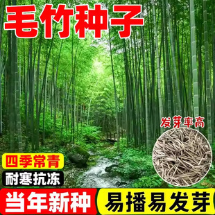 ë��N�������G���ļ������S�����_�h���ͺ��ϱ����������ӷN��