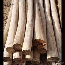 ��ľԭľ�̻�ԭľȥƤ���С��ľ�����������Θ����ľ��