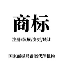 商标注册申请包受理通过加急代办理logo设计起名公司查询个人答辩