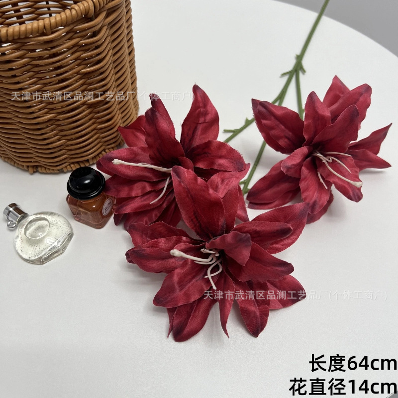 3D 코사카