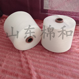 ��ȼճ�z��21֧��ȼ��]����ȼ���޼���ȼ��]����ȼЧ���x��Ϩ