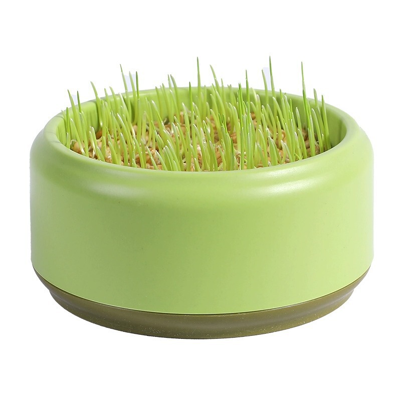 Cat Grass Potted Seeds, Soilless Hydroponic Hair Grass, Cat Mint, Wheat, Self-Sown Seedlings, Kitten Snacks and Supplies