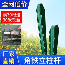 ���������U�����F�z�W�������������PY���T�F���^��֧�ΗU���ټ�