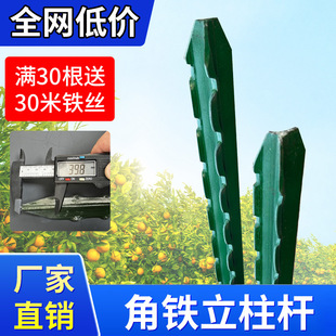 ���������U�����F�z�W�������������PY���T�F���^��֧�ΗU���ټ�