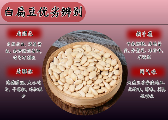 White Hyacinth Bean Bai Bian Dou Dried Seeds Sulfur-Free Raw Herb for Herbal Tea and Congee 500g Bag in use