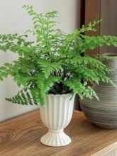 �����G��ķާ�����҃ȿ͏d�ļ�����ާ�ֲ������՚���B��Gֲ