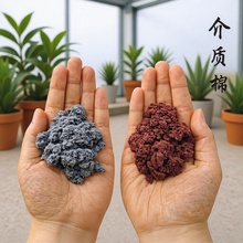 Sl|~쾰ǼzʯɫľɫƤʯɫ|