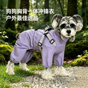 ����_�h�±�ů�������ȷ��L���ر�����һ�w���R�d�¿���·���