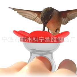戒指蜂鸟和手腕蜂鸟喂水器蜂鸟喂食器手持喂鸟器