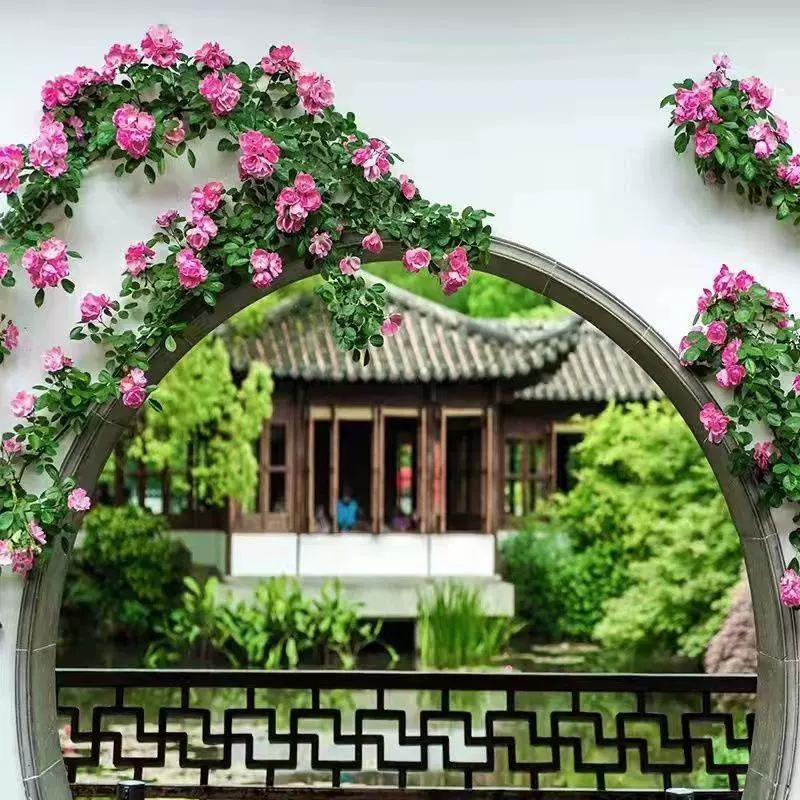 Розовые саженцы в горшках, вьющиеся лозы, цветут в любое время года, вьющиеся розы с очень большими цветками и ароматными цветами, устойчивая к холоду трава во дворе.