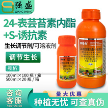 ����������ɫ 24��̦ܿ������&middot;S�տ���  ��������ˮ���������ڼ�