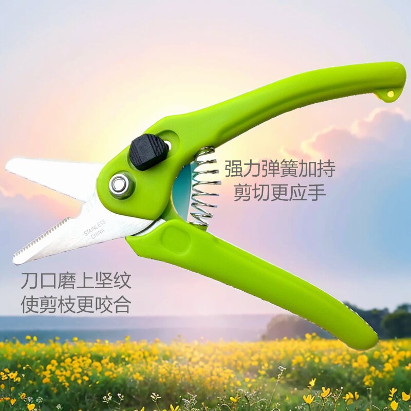 桔枝剪刀花园剪不锈钢园林剪刀摘果阳江园艺修枝锋利枝条
