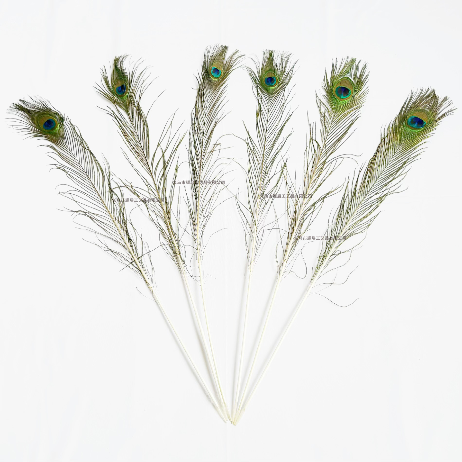Suministro de stock de alta calidad 70 - 80cm plumas de pavo natural cola casera DIY decoración floral plumas de pavo ornamentos image 5