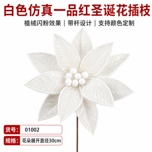 �羳��ɫֲ�q�W�۲�֦�}�Q�仨�h�ٗl�b���һƷ�t�}�Q��