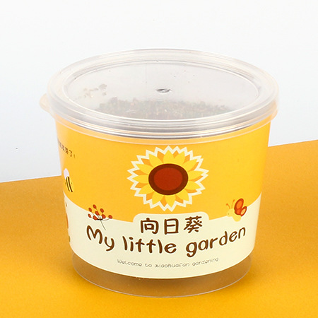 Niños plantan pequeños jardines de infantes fresas plantas de mesa mini caja ciega diy verde juguetes puestos al por mayor image 18