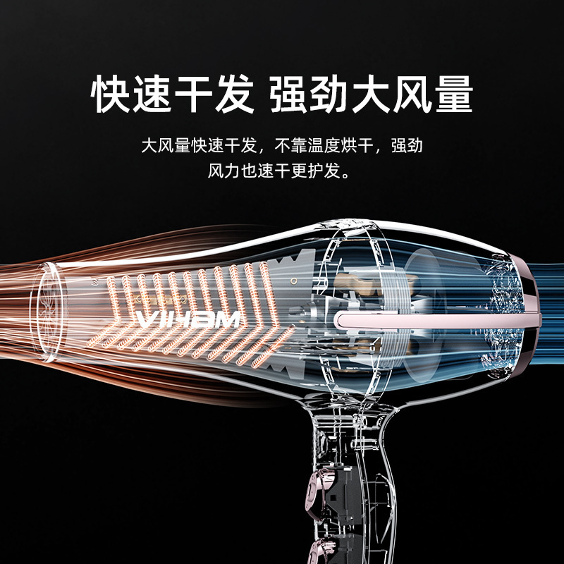 メーカーは直接携帯用家庭用ヘアサロンのハイパワーブルーライトマイナスイオン冷熱風ブロー筒代発|undefined