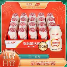 新希望乳酸菌益生菌饮品0脂肪100g*20瓶早餐儿童饮料酸性乳饮料