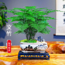 �����쾰�����҃Ȼ��ܺ��B�k�����ļ�����ˮ��Gֲ���辰�[��