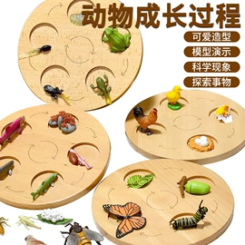 其他益智玩具;科教玩具;拼图、拼板