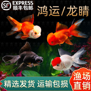 ��S��������~��β���~���\���^�����~�ڽ��~���B�ͻ���ˮ�^�p�~