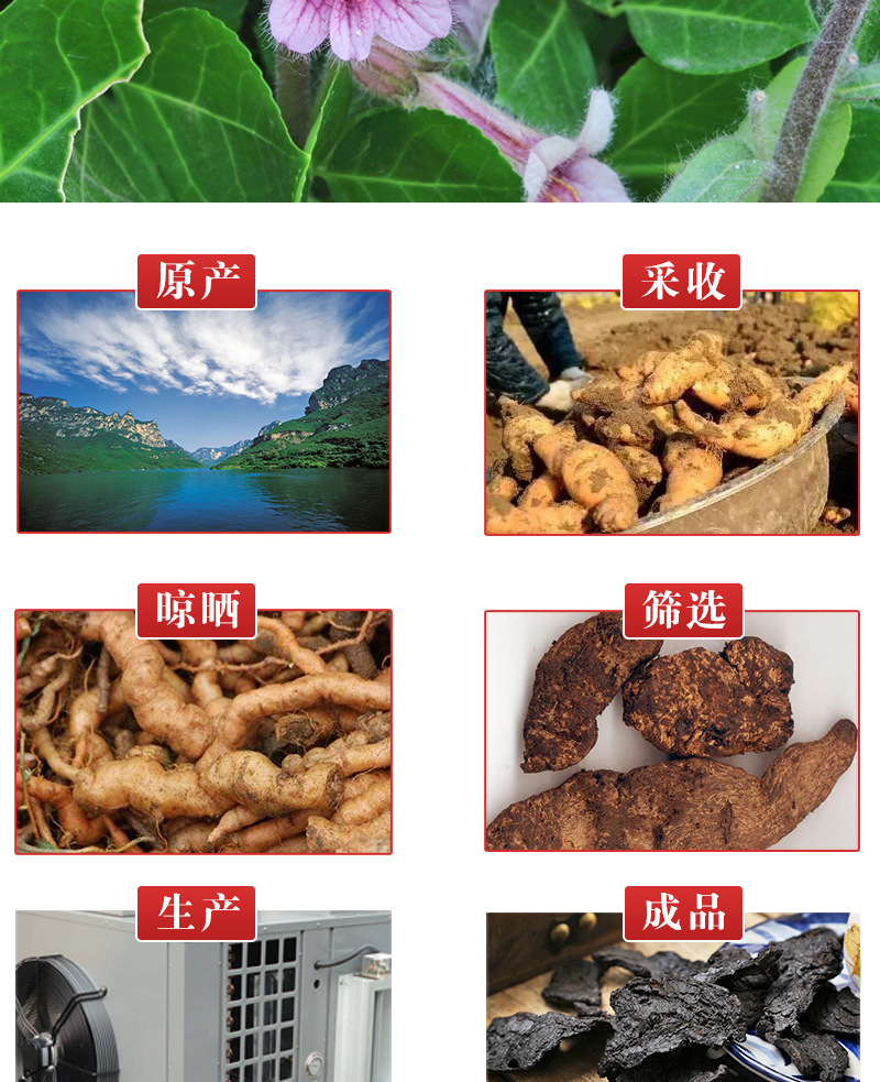 Shu Di Huang (Rehmannia glutinosa preparata) — Nine-Steam Nine-Sun Prepared Root, 500g specifications