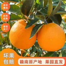 ���ڽ����M��Ě�����r�ք�����M��Ě�Ȯa��ֱ�l�����ЋDˮ�����]