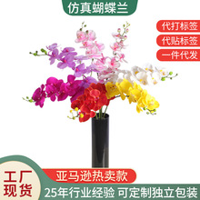 跨境品质仿真蝴蝶兰花北欧创意假花装饰品婚庆花艺摆件源头工厂