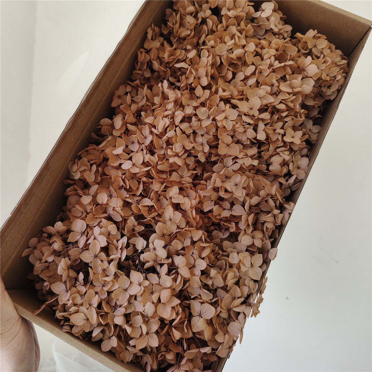 Flor eterna Hortensia Anna pequeña hoja flor seca flor real árbol de Navidad ventilador hecho a mano ramo DIY material paquete flor