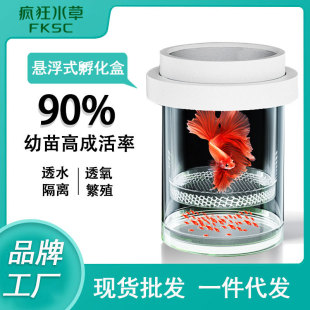 Crazy aquatic plants peacock breeding box fish fry isolation box floating incubator suspension Incubator Factory wholesale