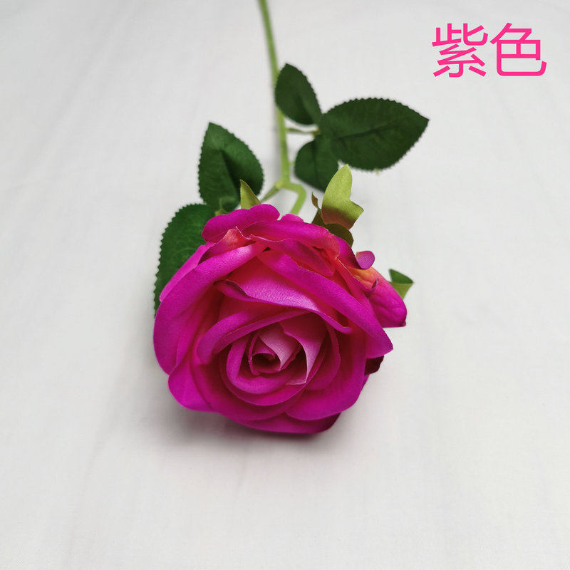 보라색