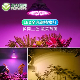 植物生长灯;花盆容器;LED硬灯条