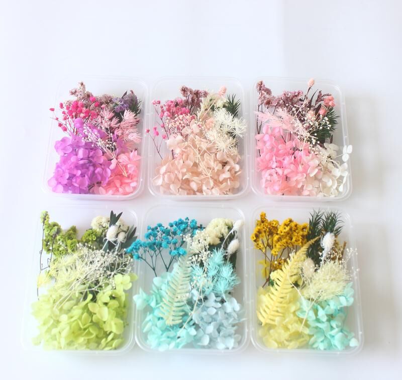 QQ图片20210312201502