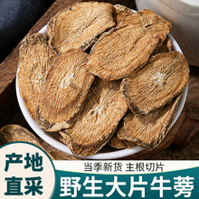 野生牛蒡根茶中药材正品新鲜大号黄金牛棒片搭菊花枸杞决明子泡茶