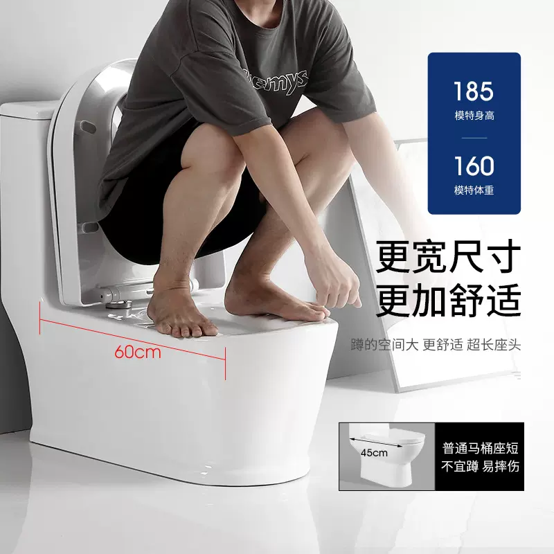 蹲便器免挖坑防臭网红家用小户型老人坐两马桶高级新型强劲大冲力