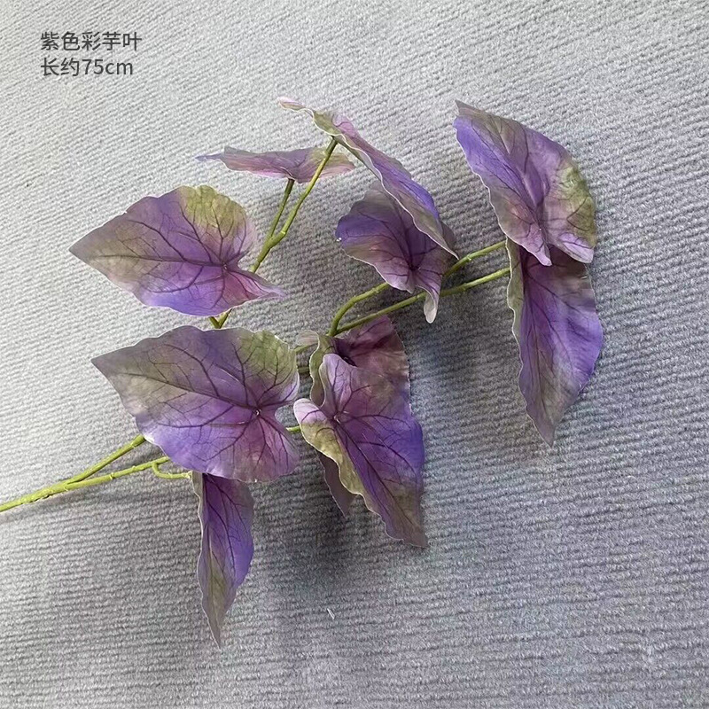 Una hoja de taro púrpura