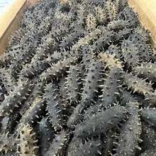 Bخaɺ؛rˮa500g|̅ɢbɴl|Ұ