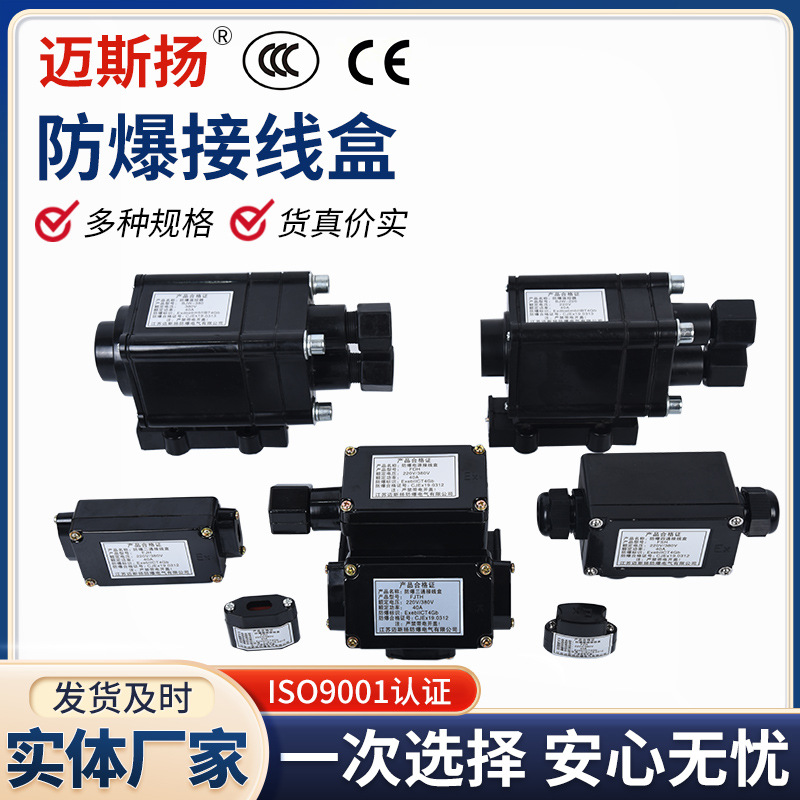 厂家销售 电伴热带电源接线盒 两通接线盒三通接线盒防爆温控器