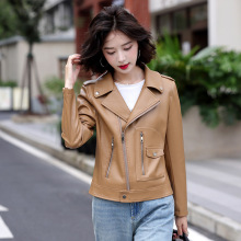 2025春秋新款韩版皮衣休闲外套机车服大码修身女士真皮夹克欧美风