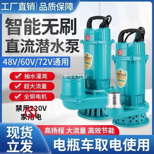 Brushless Intelligent Dc Submersible Pump 48V60V72V Universal Large Flow Electric Battery Car Water Pump Water Pump