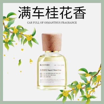 Perfume Car Accessories Ornaments | Car Perfume Aromatherapy