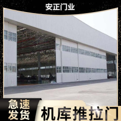 飛行機の倉庫の大門の重さの工業の扉の特殊な扉の図は号19j610-1飛行機の倉庫の大門を集めます。