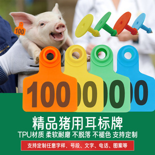 Ear Tag Signs for Sows, Pig Number Plates, Farm Markings, Farm Ear Straps, Ear Equipment, Pig Characters, Veterinary Use, Children