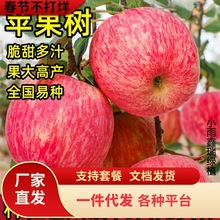 �O�����������Ϸ������Nֲ���Ա������O������簫�����䮔��Y��