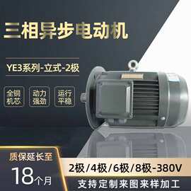 河北电机厂家大量销售YE3-2极2.2-90KW三相异步电机380v电机