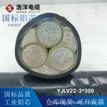 ���������|  ����YJLV22�z�b����3о6ƽ���S�ҬF؛ֱ�N