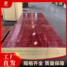 VBģ183Bģ1.2cmtľ8ӾŌ2.4x1.2ľģ